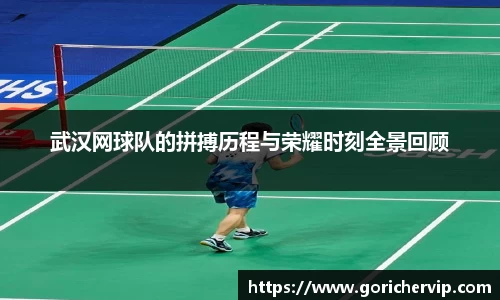 bsports官网入口